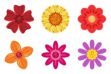 Renkli Çiçek Simgeleri Resmetmeyi Ayarla