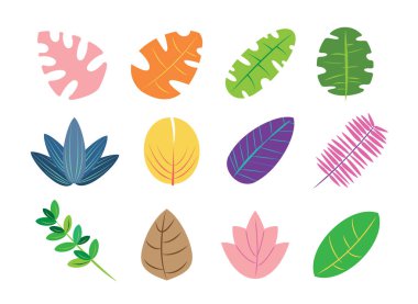 Renkli Tropikal Yaprak Kümesi