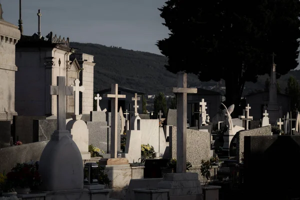 Peaceful sunlight over the stone crosses of the Dark Cemetery in Braga, Portugal.
