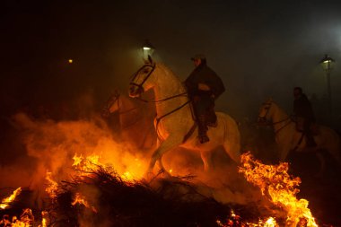 16 Ocak 2024 'te, Şövalyeler atlarıyla birlikte San Bartolome de Pinares, Avila, İspanya' da antik bir arınma geleneği olan 