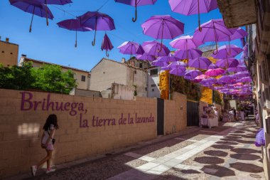 10 July 2024, Village Decoration during the Lavender Festival in Brihuega, Spain. clipart