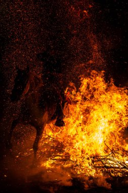 16 Ocak 2025 'te, Şövalyeler atlarıyla birlikte San Bartolome de Pinares, Avila, İspanya' da antik bir arınma geleneği olan 