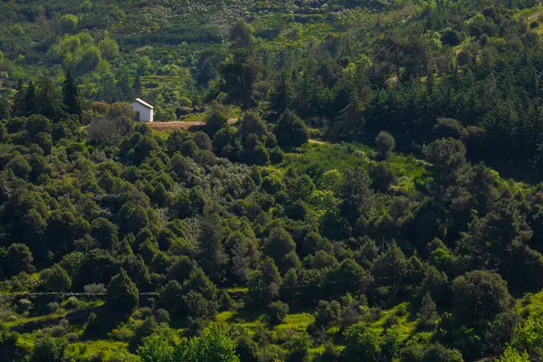 Tepedeki Şapel, Torre de Moncorvo, Portekiz.