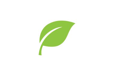 Green leaf icon design vector