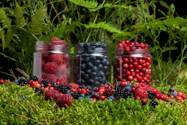 Assorted Berries Fresh Mix Colorful Arrangement Forest — Stockfoto