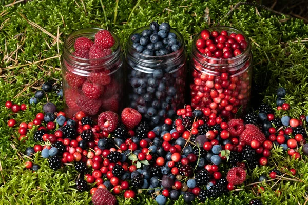 Assorted Berries Fresh Mix Colorful Arrangement Forest — 스톡 사진