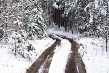 Çukurları ve su birikintileri olan eski bozuk bir yol.
