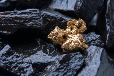 Avusturya, nehirden altın Nugget incelemesi gerçek altın