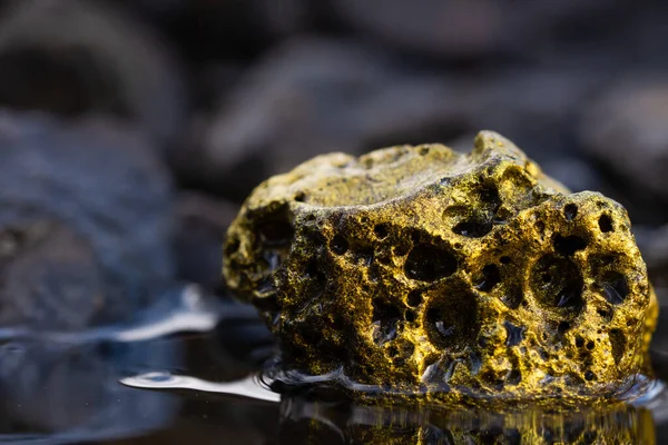Těžba Zlata Nugget Řeky Rakousku Skutečné Zlato — Stock fotografie