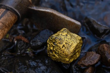Avusturya, nehirden altın Nugget incelemesi gerçek altın