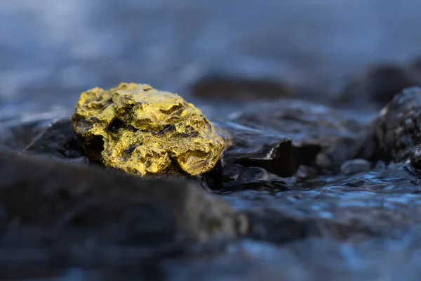 Těžba Zlata Nugget Řeky Rakousku Skutečné Zlato — Stock fotografie