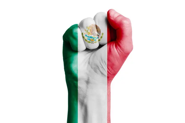 Man Hand Fist Mexico Flag Painted Close — Stock Photo, Image