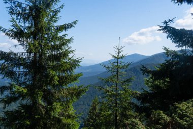 Karpat dağlarında aydınlık bir yaz sabahı. Haziran 'da Ukrayna, Avrupa' daki dağ vadisinde manzara