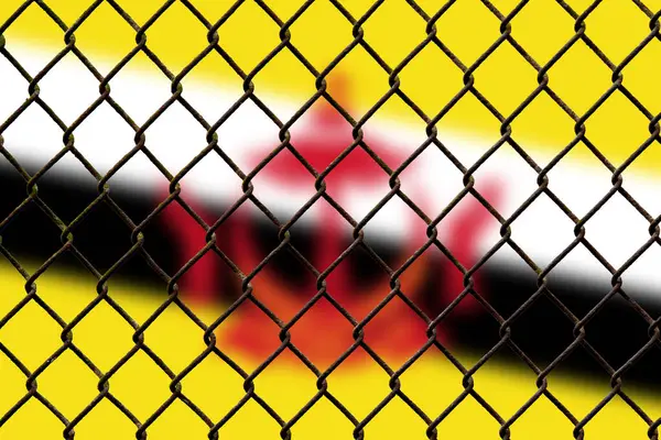 A steel mesh against the background of the flag Brunei