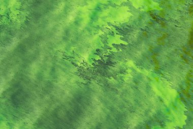 Blue-green algae spreading in freshwater ecosystems underscores the pressing issue of water conservation.