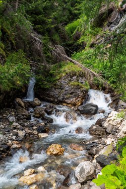 Dolomitlerdeki Passo Falzarego 'nun aşağısındaki Castello köyünün yakınlarında şelalesi ve şelalesi olan dağ nehri.