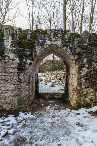 Sostyn Castle Ruins Koprivnice Town Czech Republic Cloudy Winter Day — Stock Photo, Image