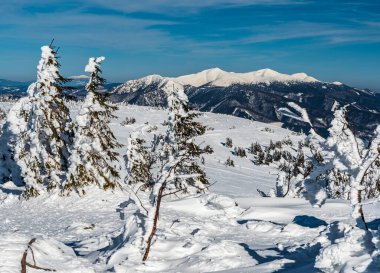 Krivanska Mala Fatra ve Babia hora Slovakya 'nın Mala Fatra dağlarındaki Velka luka tepesinden güzel kış günü boyunca