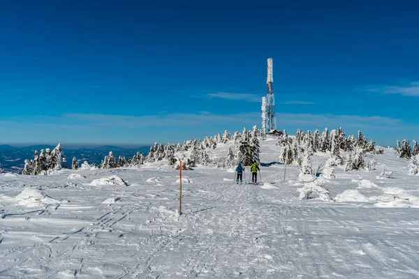 Velka luka tepesi - Slovakya 'daki Lucanska Mala Fatra dağlarının en yüksek tepesi Güzel kış günü boyunca