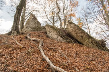 Daha küçük kaya oluşumu ve düşen yapraklarla sonbahar ormanı Slovakya 'daki Sulovske Vrchy dağlarında Zibrid Tepesi' nin altında.