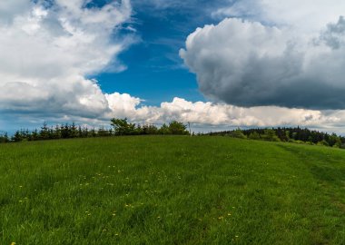 Holy vrch hill summit covered by mountain meadow in springtime Bile Karpaty mountains in Czech republic
