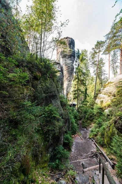 Vlci rokle gorge with rock towers and hiking trail with stairs connecting Adrspasske and Teplicke skaly rock towns in Czech republic