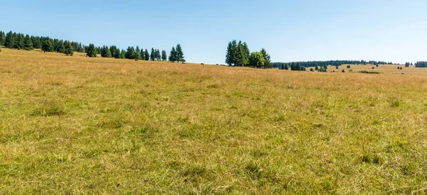 Rolling landscape with meadows, forest and clear sky - Krusne hory mountains near Prebuz town in Czech republic