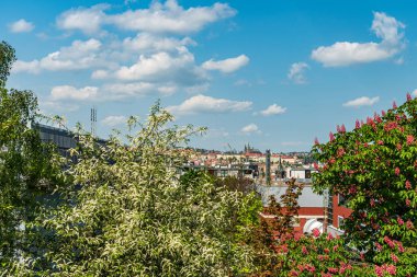 Prague city with Prague Castle from Rajska zahrada garden in Zizkov town quarter during beautiful springtime day
