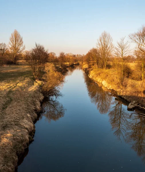 Stock image Odra river with meadow and trees around in CHKO Poodri in Czech republic during early springtime evening