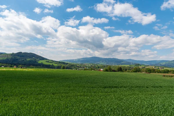 在美丽的春天里 捷克共和国Jablunkov镇被起伏的乡村 山丘和乌云环绕 — 图库照片