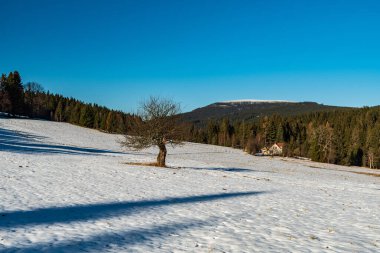 Kış sabahının erken saatlerinde Çek Cumhuriyeti 'nin Moravskosske Beskydy dağlarında Lysa Hora tepesinde karla kaplı çayır, izole edilmiş ağaç, izole bina ve Travny Hill