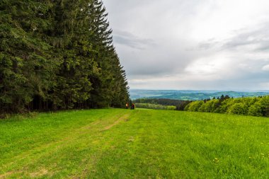 Dağ çayırlarında birkaç bilge, arka planda tepeler Çek Cumhuriyeti 'nde Bile Karpaty Dağları' nda kutsal Vrch Tepesi zirvesinde.