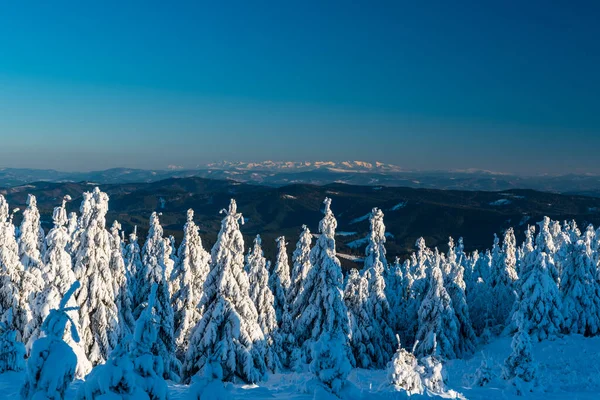 Widok Tatry Pod Szczytem Łysej Góry Morawskich Beskidach Czechach Piękny — Zdjęcie stockowe