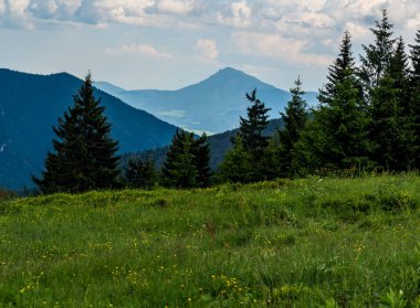 Slovakya 'nın Mala Fatra dağlarındaki Medzirozsutce dağ geçidinden Velky Choc tepesi