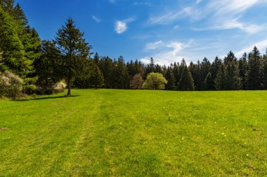 Fresh green springtime meadow with trees around and blue sky with clouds above Javornik village in Bile Karpaty mountains in Czech republic clipart