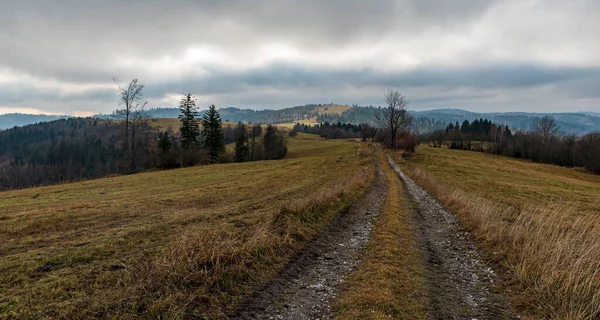 スロバキアのVchriekaとMartakovの間の秋のジャボルニキの山々は 牧草地や木々や曇りの空で覆われた丘で — ストック写真