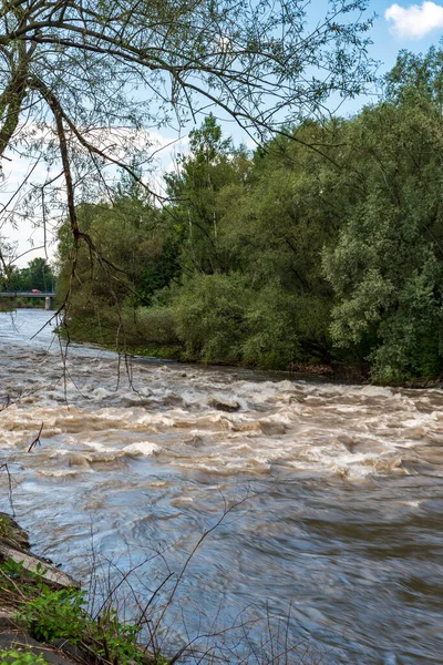 Rivière Après Des Jours Nourris Fortes Pluies Avec Des Arbres — Photo