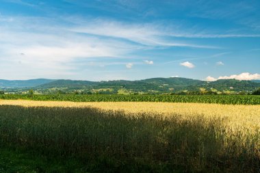 Çekoslovakya 'nın Hradek köyünün kırsal kesimi ve Slezske Beskydy dağlarının tepeleriyle çevrili güzel bir yaz günü