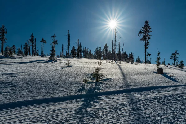 Paisaje Invernal Con Sendero Esquí Fondo Bien Preparado Pocos Árboles —  Fotos de Stock