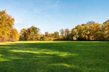 Çekoslovakya 'nın Ostrava kenti yakınlarındaki CHKO Poodri' de güzel bir sonbahar gününde etrafı renkli ağaçlarla çevrili bir çayır.
