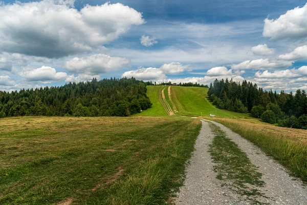 Kykula Jablunkovske Medzihorie Dağlarının Slovakya Daki Yüksek Tepesi Güzel Yaz — Stok fotoğraf