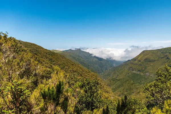 stock image Hills parly covered by clouds from Levada do Alecrim near Rabacal in Madeira