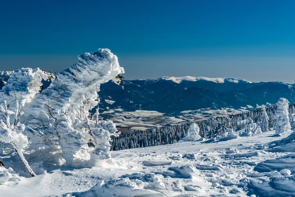 Velka Fatra dağlarının en yüksek kesimine bakın Velka luka tepesinden kış mevsiminde Mala Fatra dağları Slovakya 'da