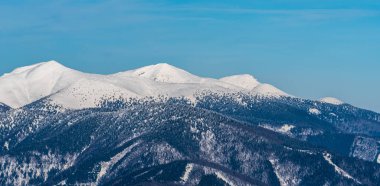 Krivanska 'daki Maly Krivan, Velky Krivan, Chleb ve Hromove tepeleri Lucanska' daki Zazriva tepesinden Mala Fatra açık gökyüzü ile Slovakya 'daki Mala Fatra dağları
