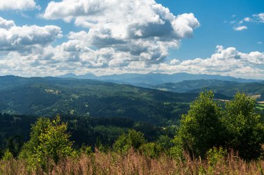 Mala Fatra dağları Slovakya 'da Kysucke Beskydy dağlarında Javorske Tepesi' nin aşağısında orman açıklığı oluşturur. Mavi gökyüzü ve bulutlarla dolu yaz günü.