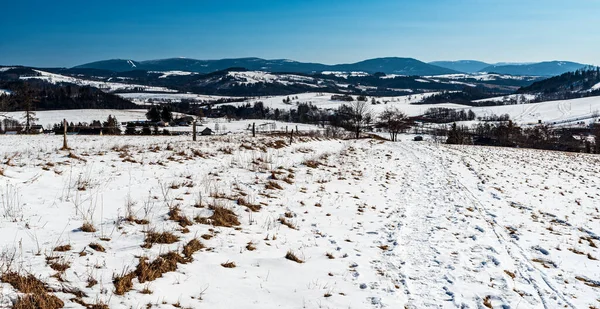 Stock image Hruby Jesenik and nearer lower hills of Rychlebske hory mountains from meadow above Stribrnice village in Czech republic during beautiful winter day