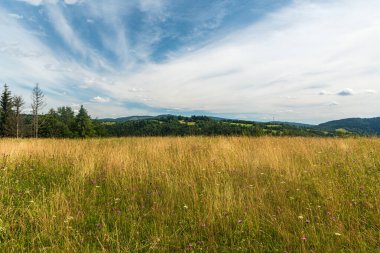 Beskids dağlarında arka planda planları ve tepeleri olan yaz çayırları Slovakya 'da - Polonya sınırları