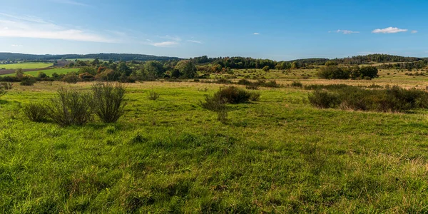 Naturschutzgebiet Grosser Weidenteich Area Paesaggistica Protetta Vicino Alla Città Plazen — Foto Stock