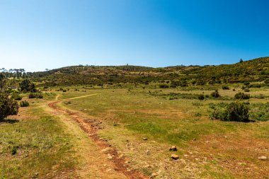 Güzel bir öğleden sonra açık gökyüzüyle Madeira adasındaki Picc do Areeiro Tepesi 'nde yürüyüş.