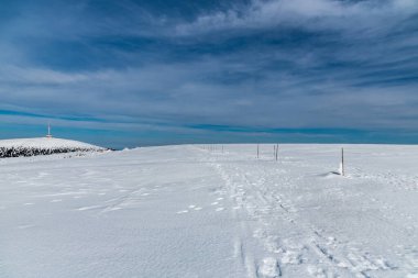 Çek Cumhuriyeti 'ndeki Jeseniky dağlarında Vysoka' dan övgü ve Petrovy kameny
